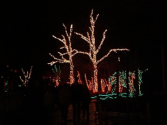 050 Toledo Zoo Light Show [2008 Dec 27]